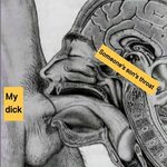 Порно анатомия анального секса (57 фото) - порно ttelka.com